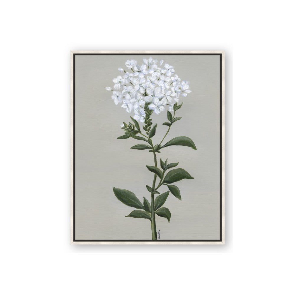 White flower I