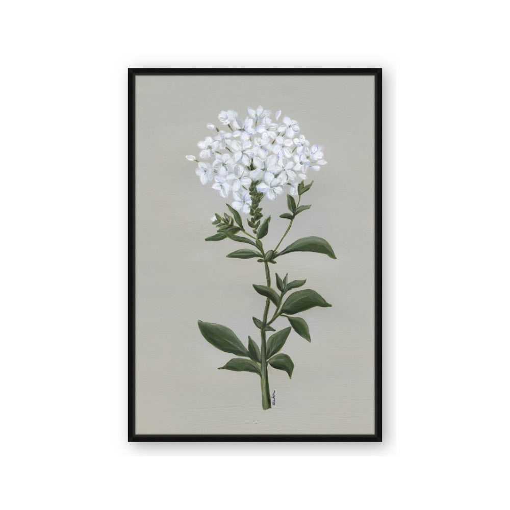 White flower I