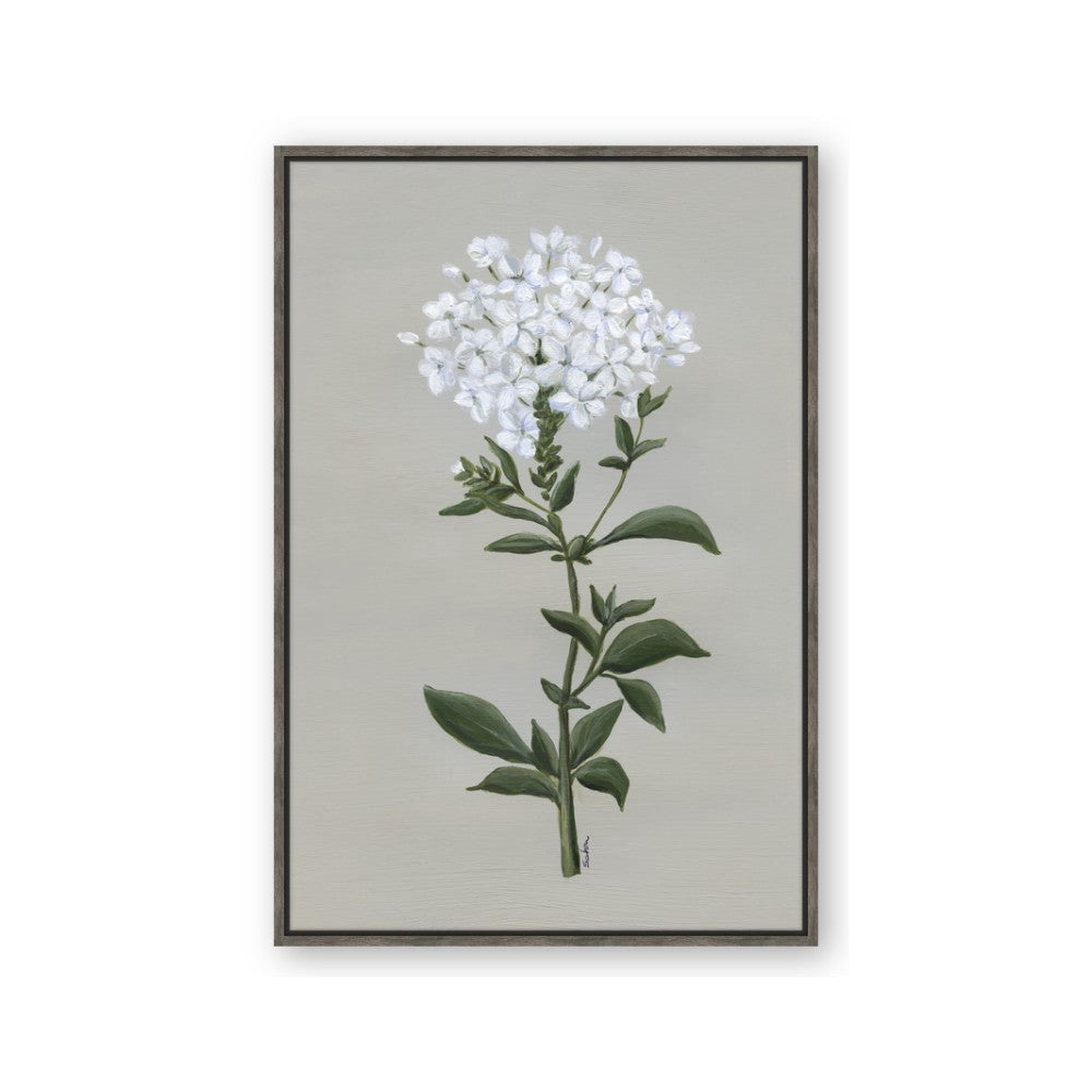 White flower I