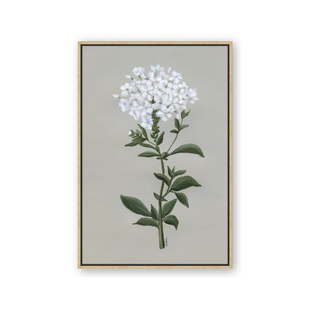 White flower I