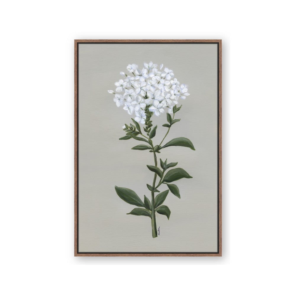 White flower I