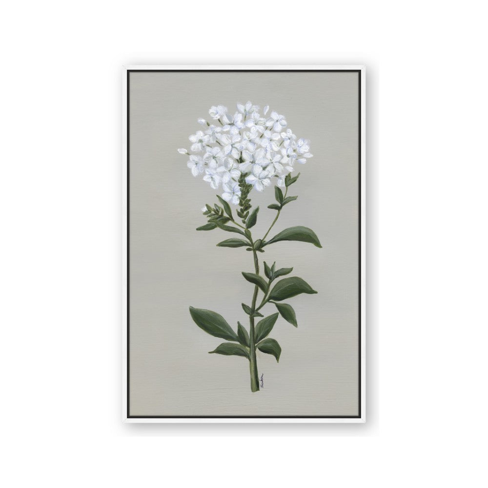 White flower I