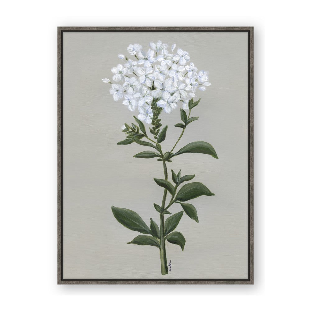 White flower I