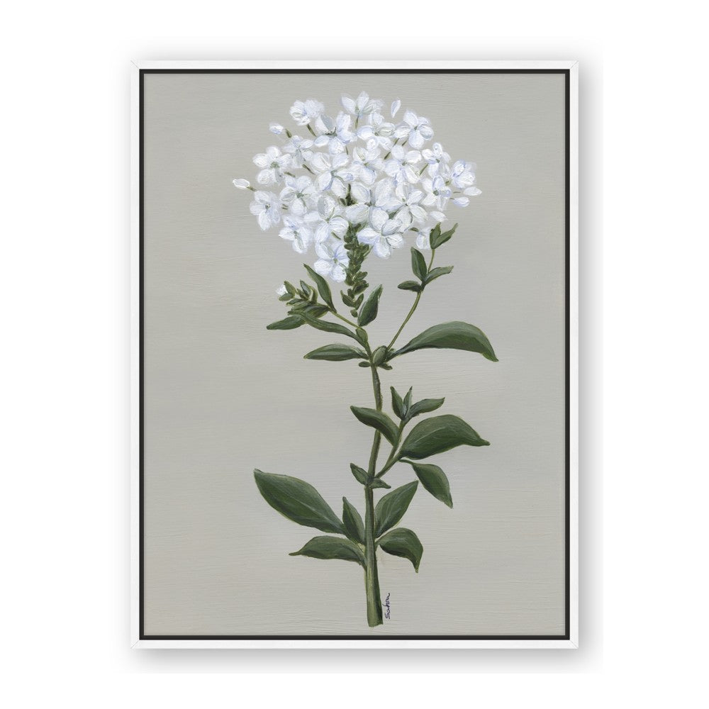 White flower I