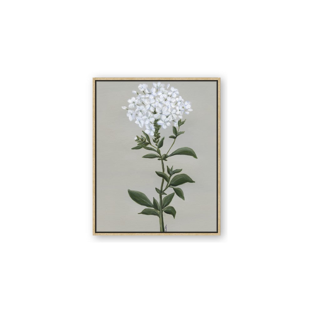 White flower I