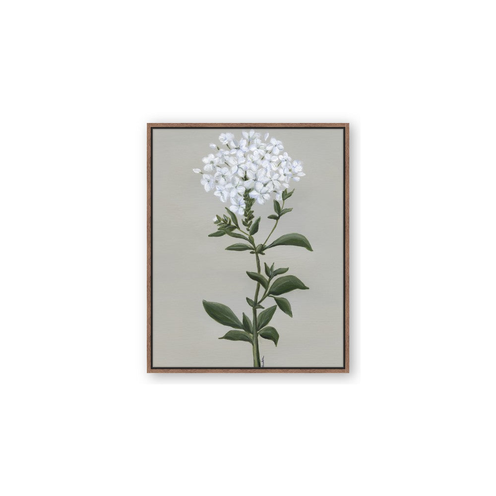 White flower I