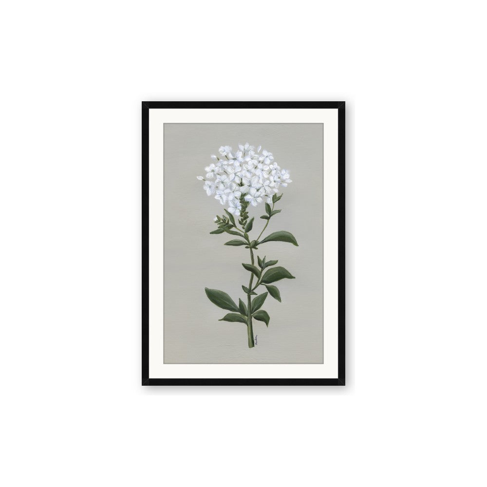 White flower I