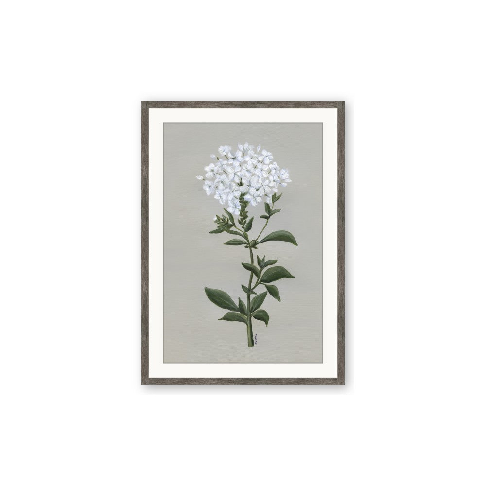 White flower I