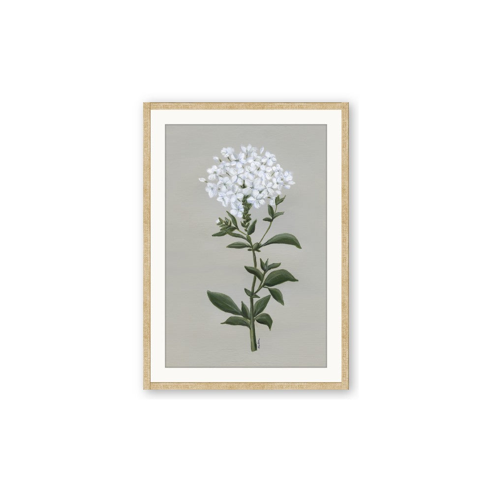 White flower I