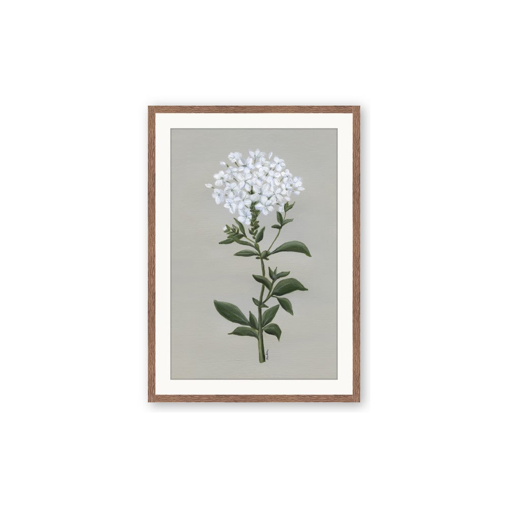 White flower I