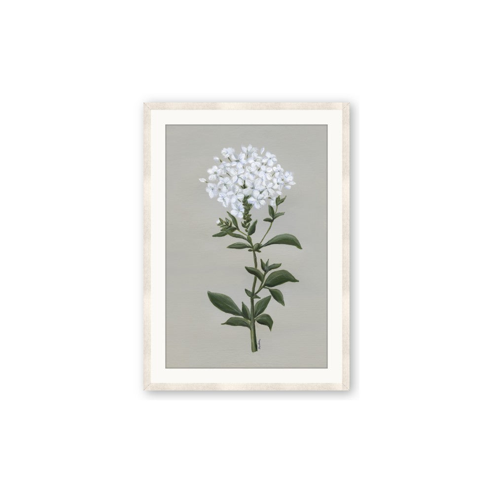 White flower I