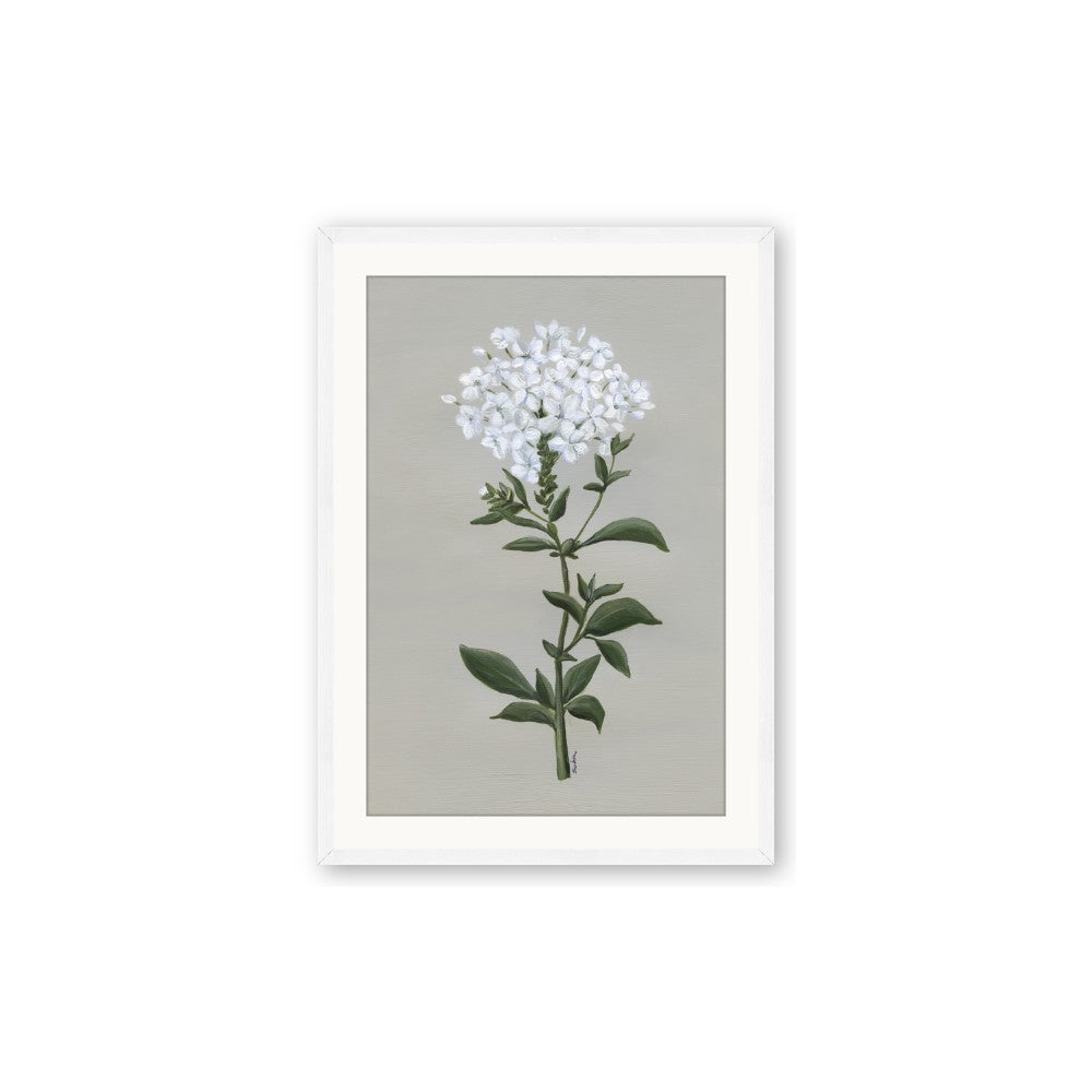 White flower I