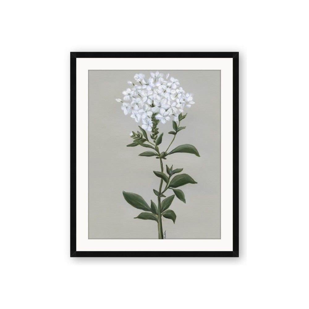 White flower I