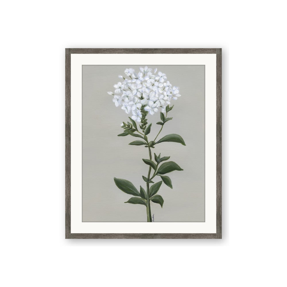 White flower I