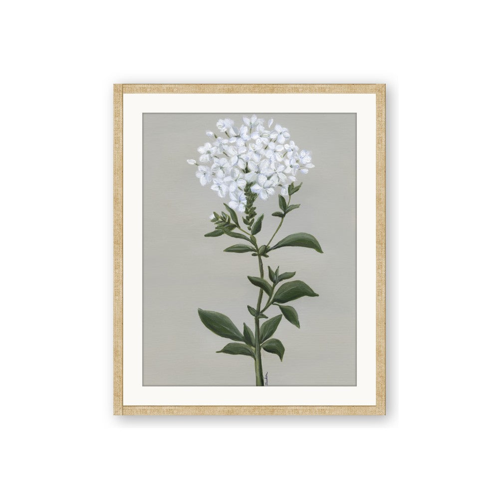 White flower I