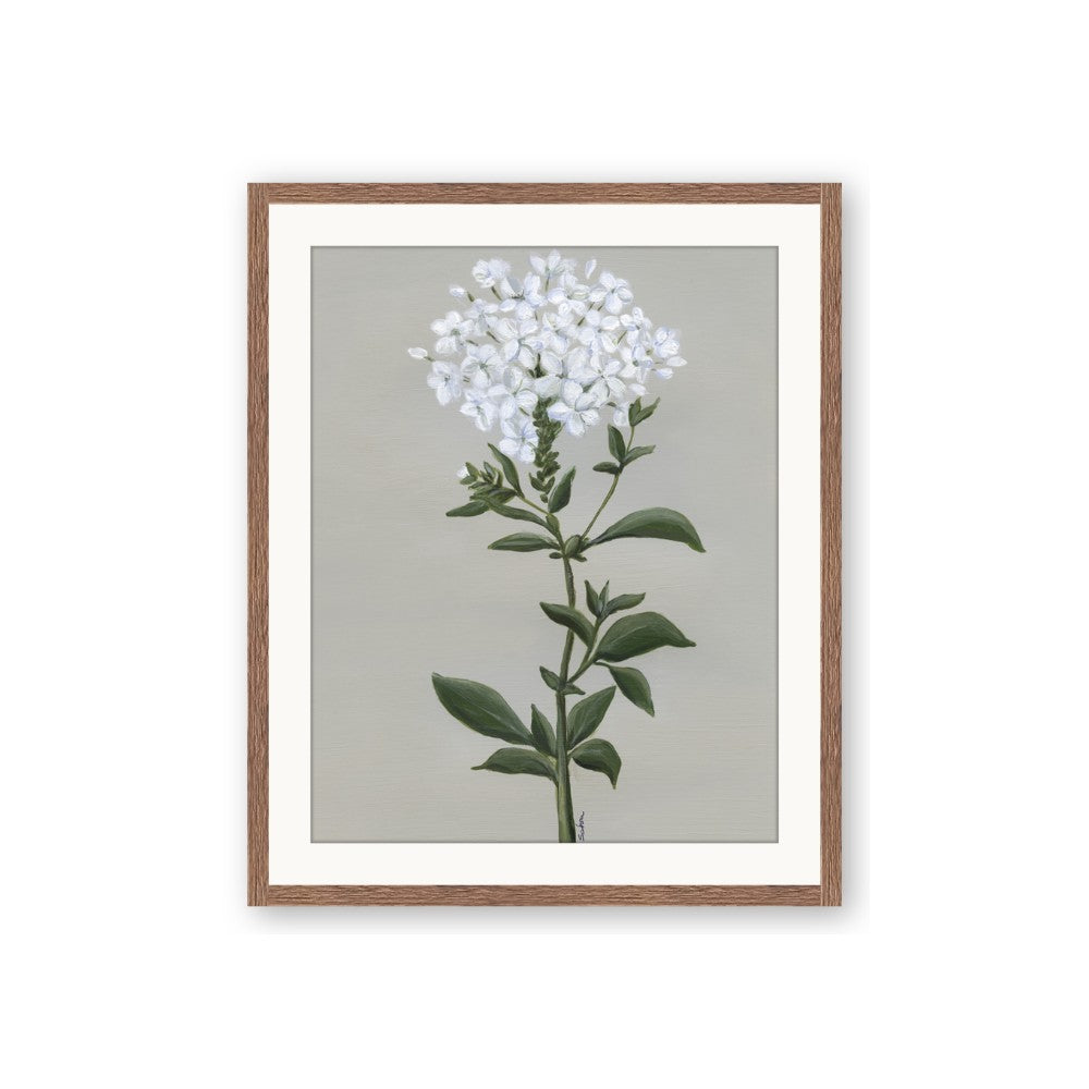 White flower I