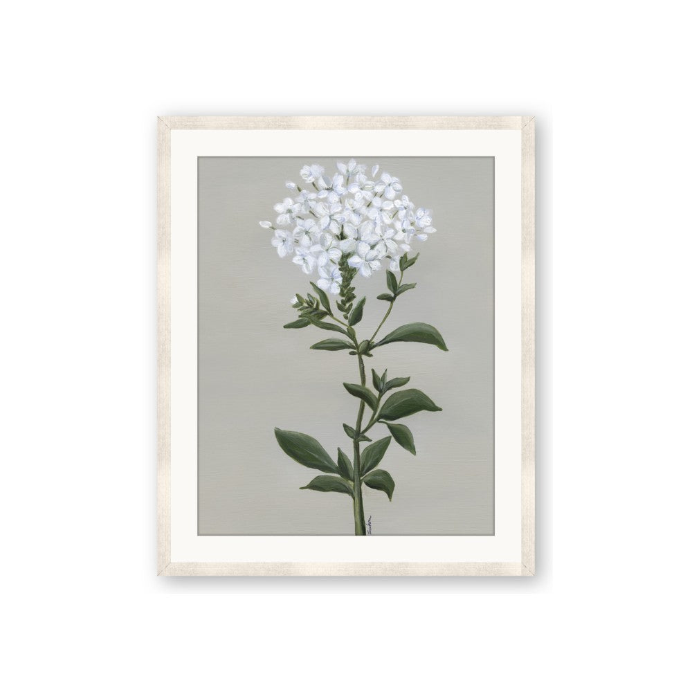 White flower I