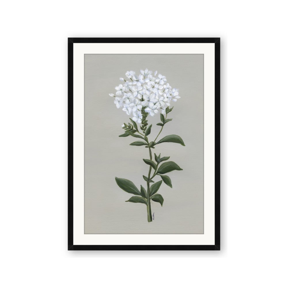 White flower I