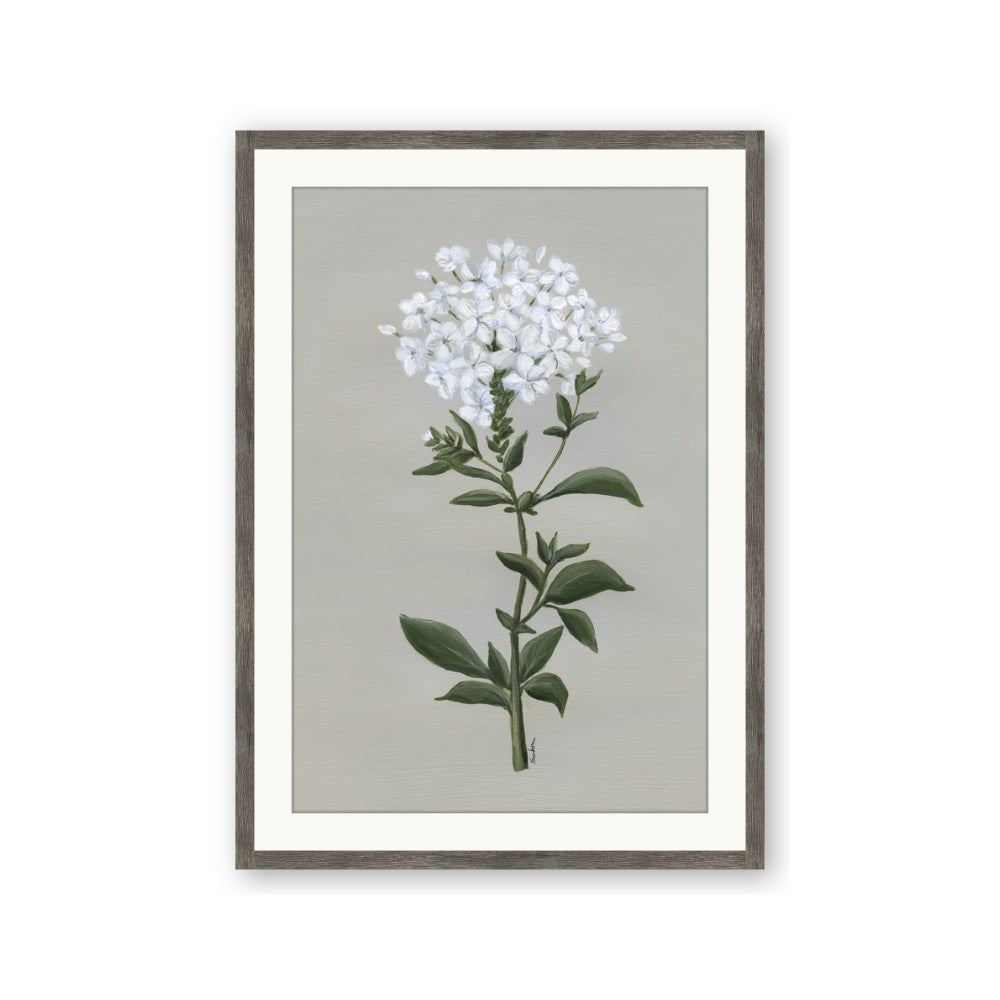 White flower I