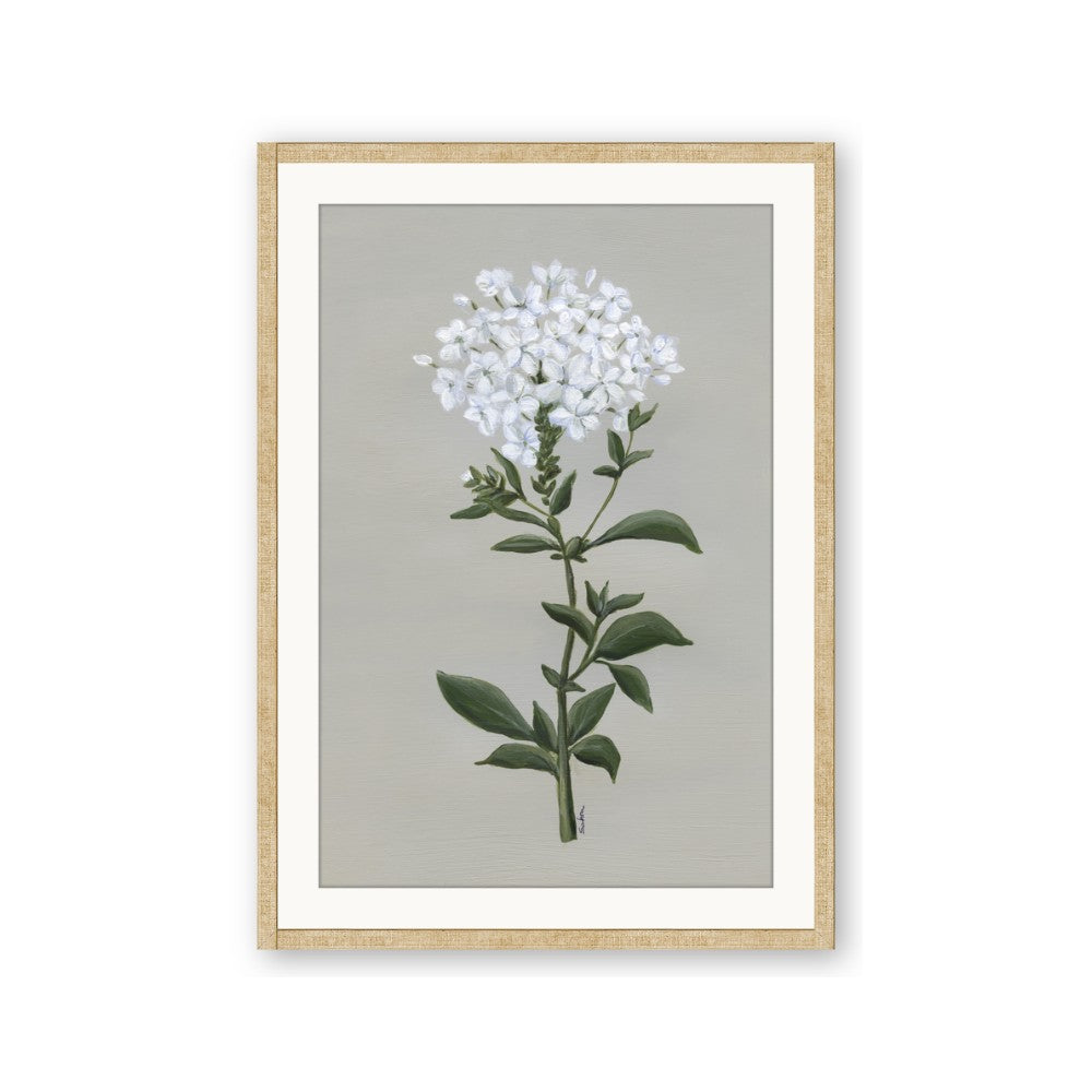 White flower I