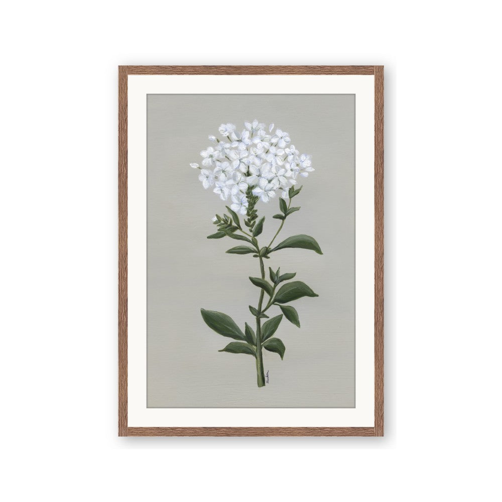 White flower I