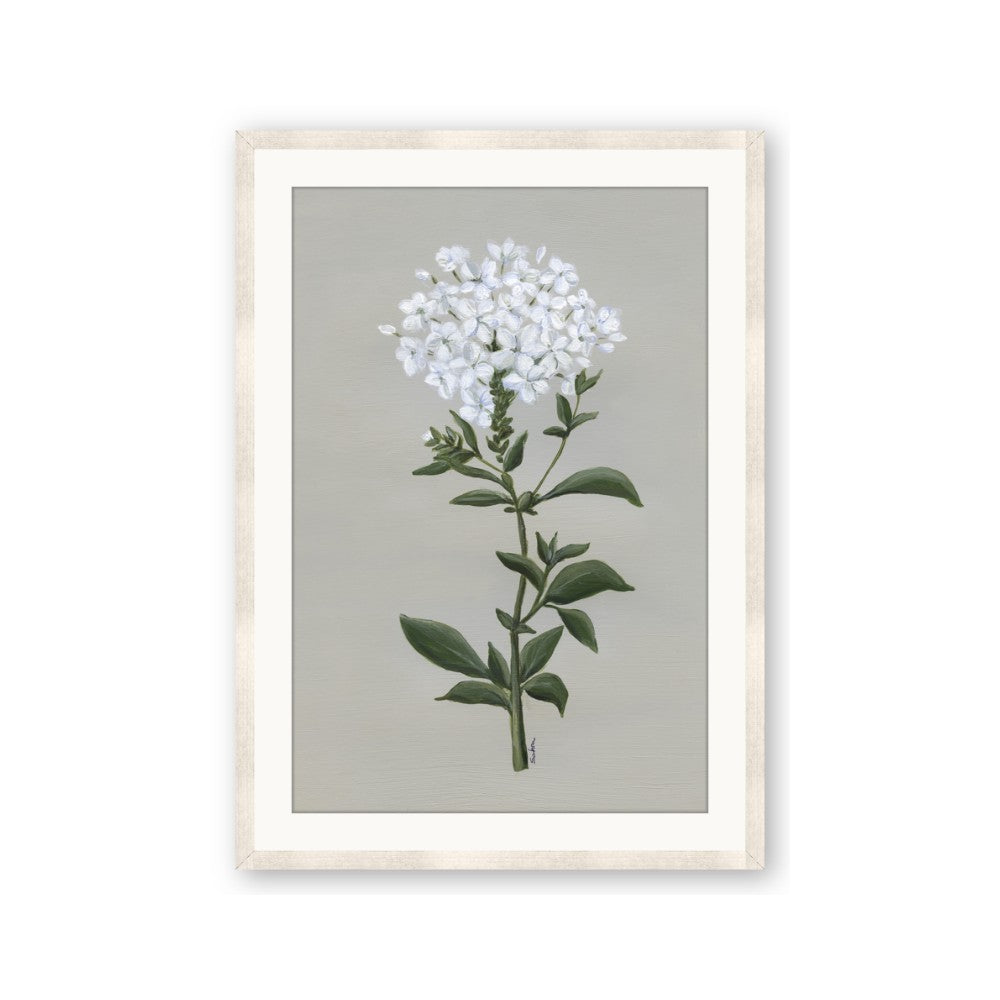 White flower I