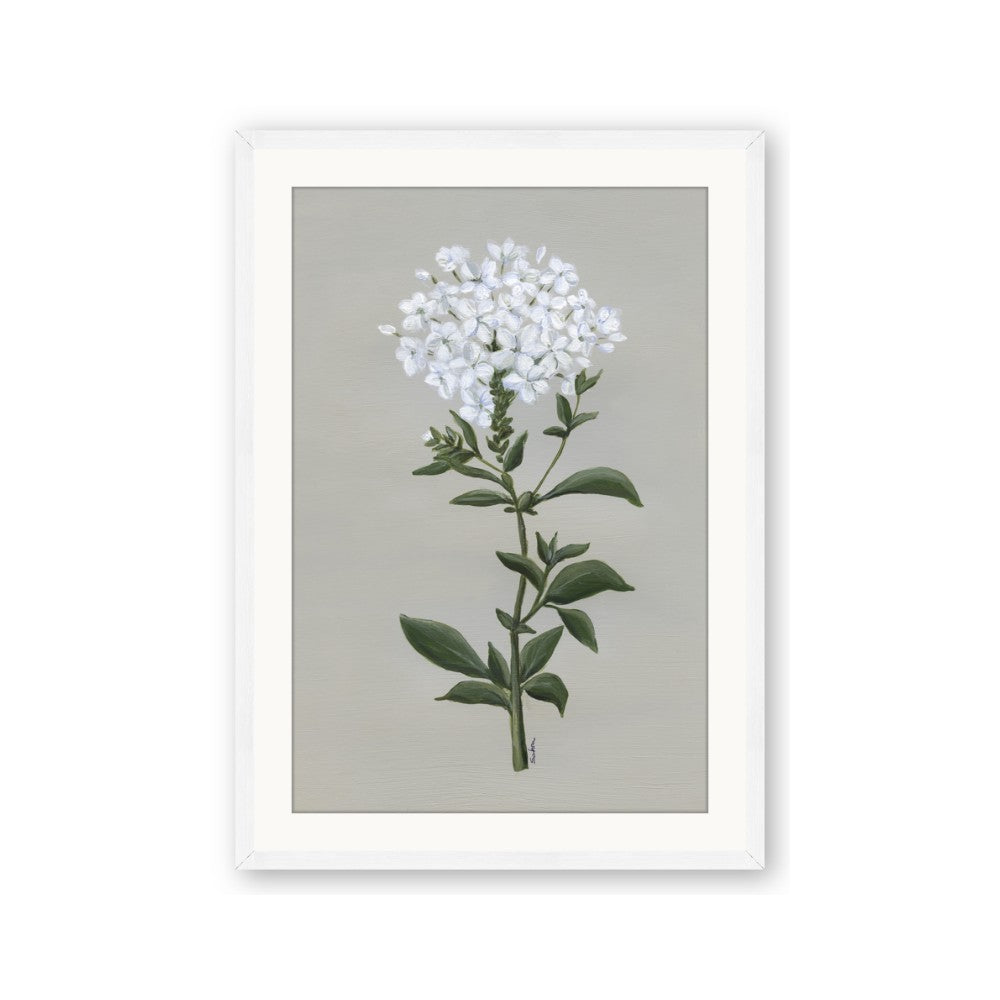 White flower I
