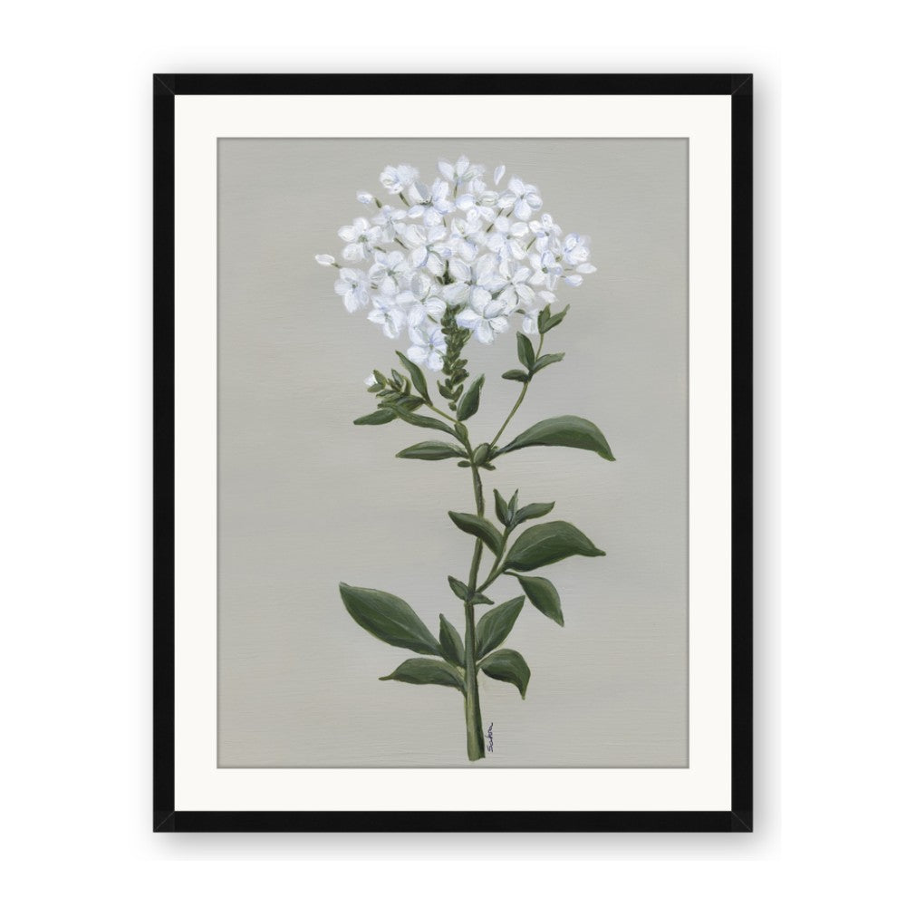 White flower I