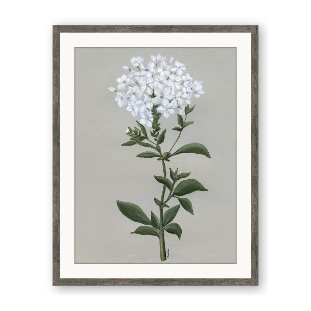 White flower I