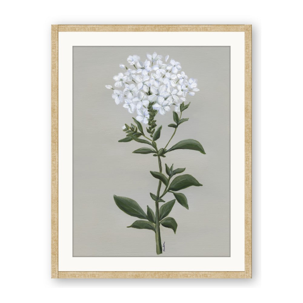 White flower I