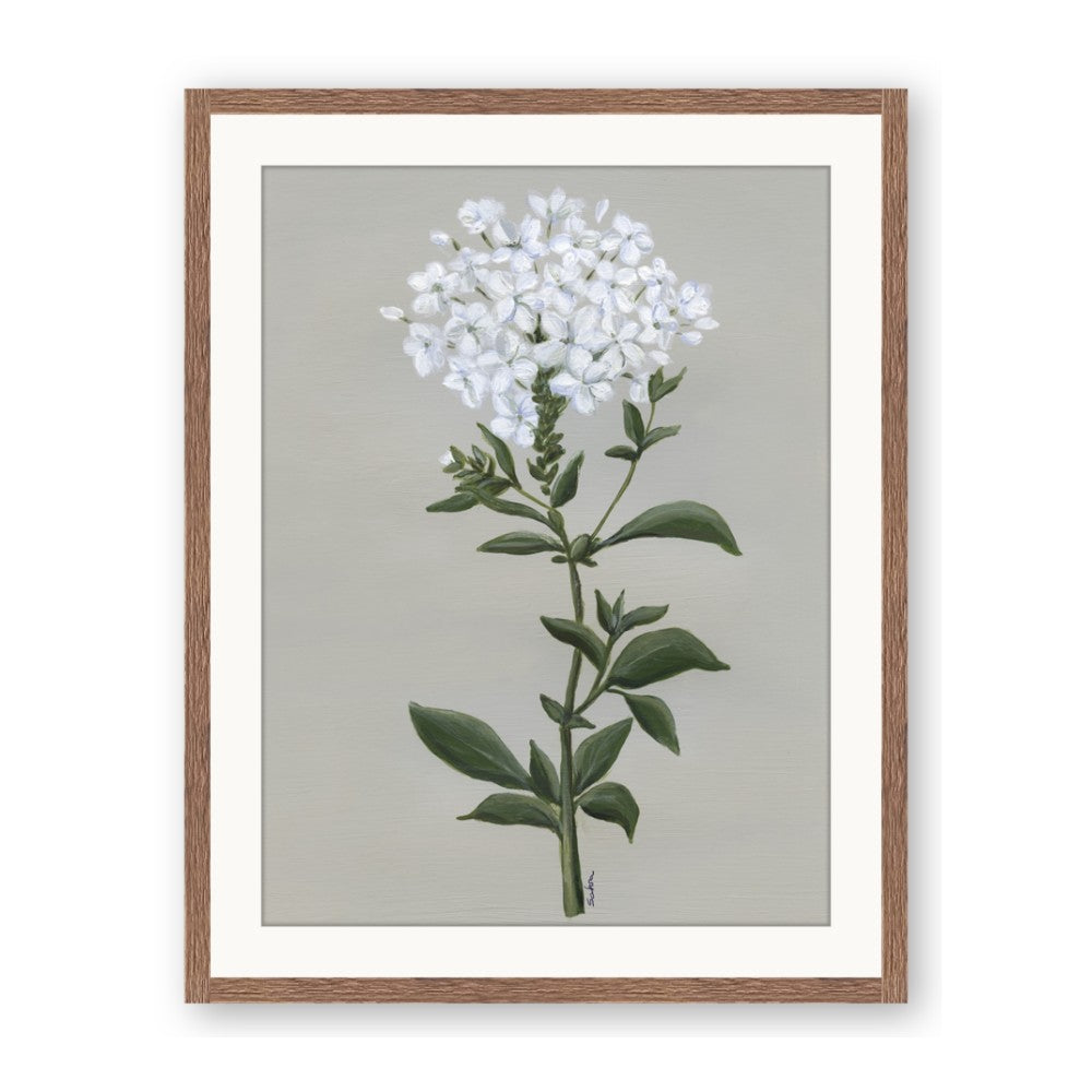 White flower I