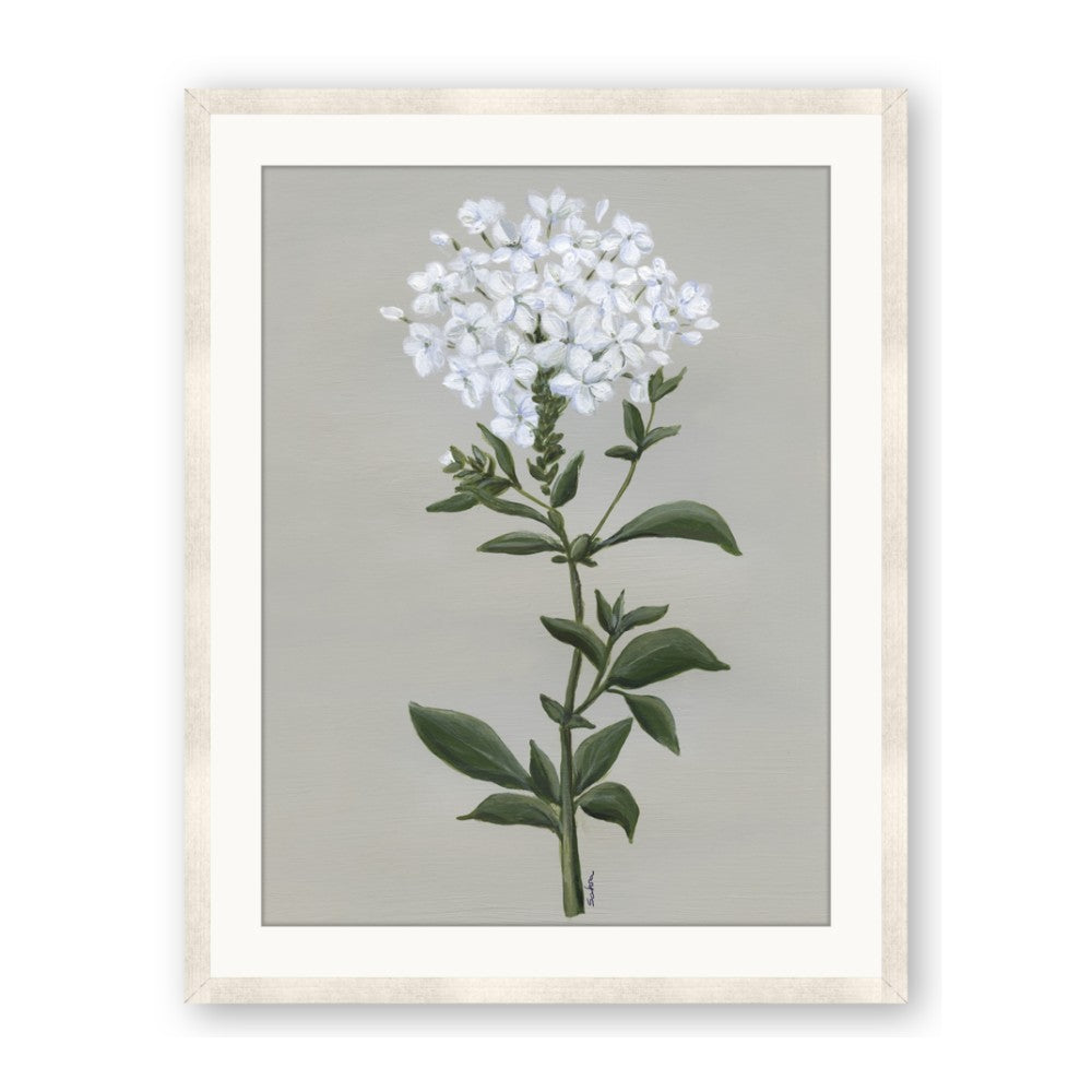 White flower I