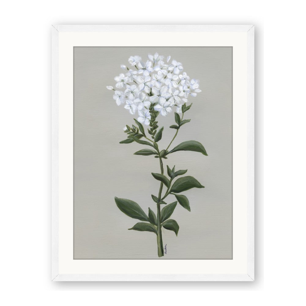 White flower I