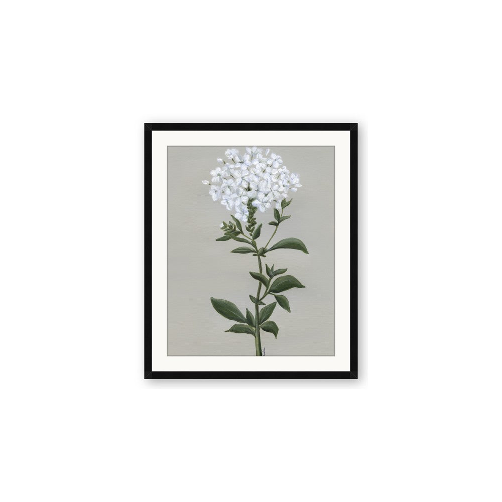 White flower I