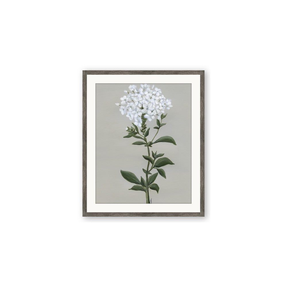 White flower I