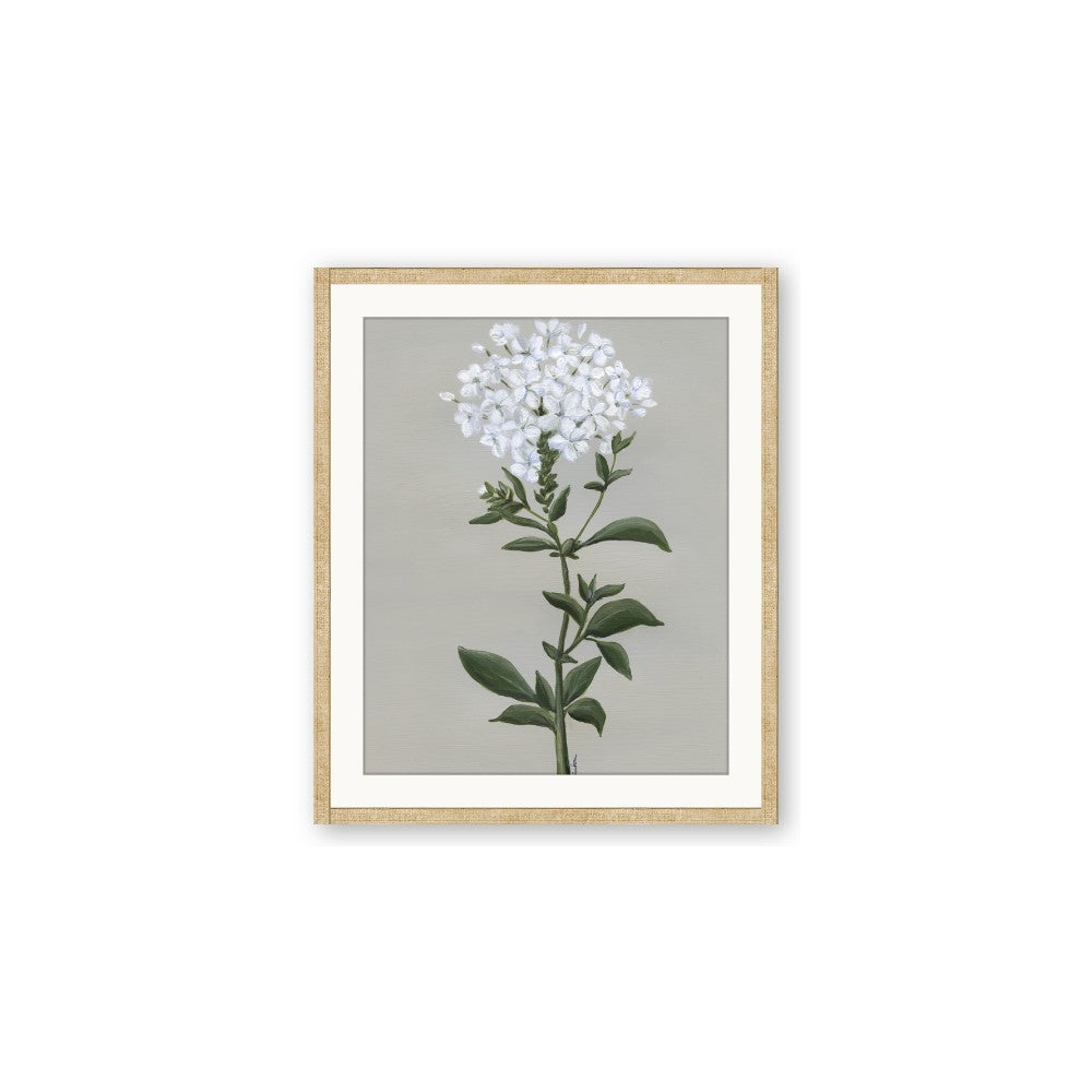 White flower I