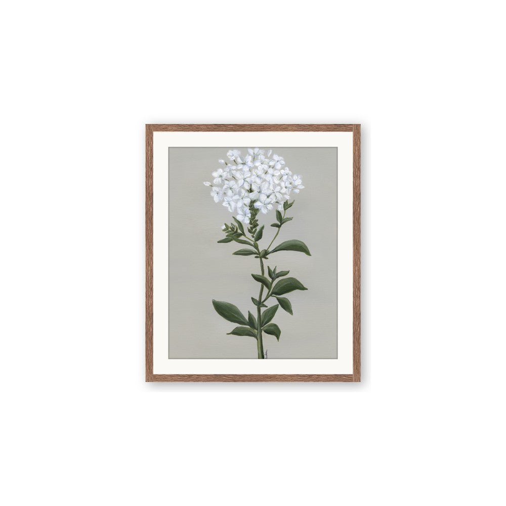 White flower I