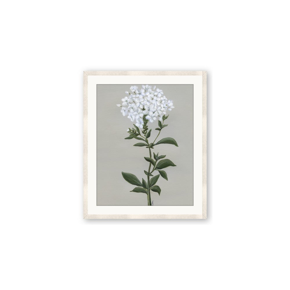 White flower I