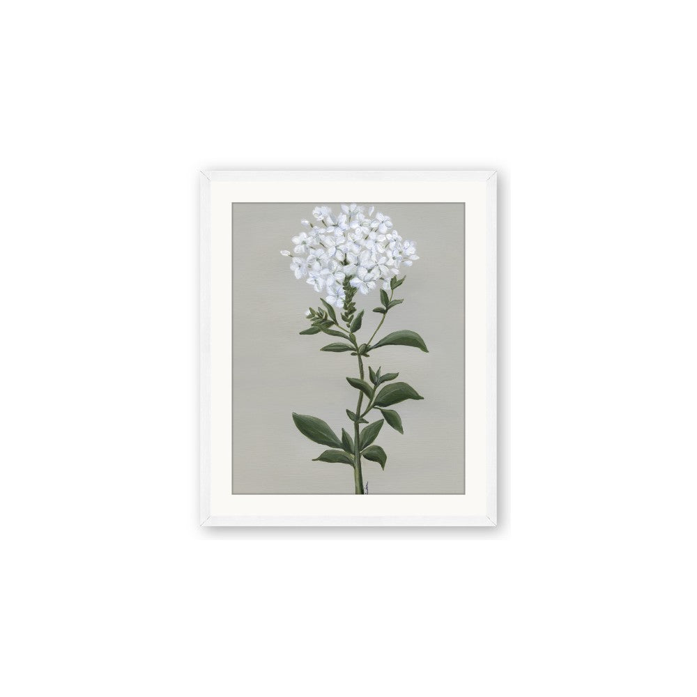White flower I