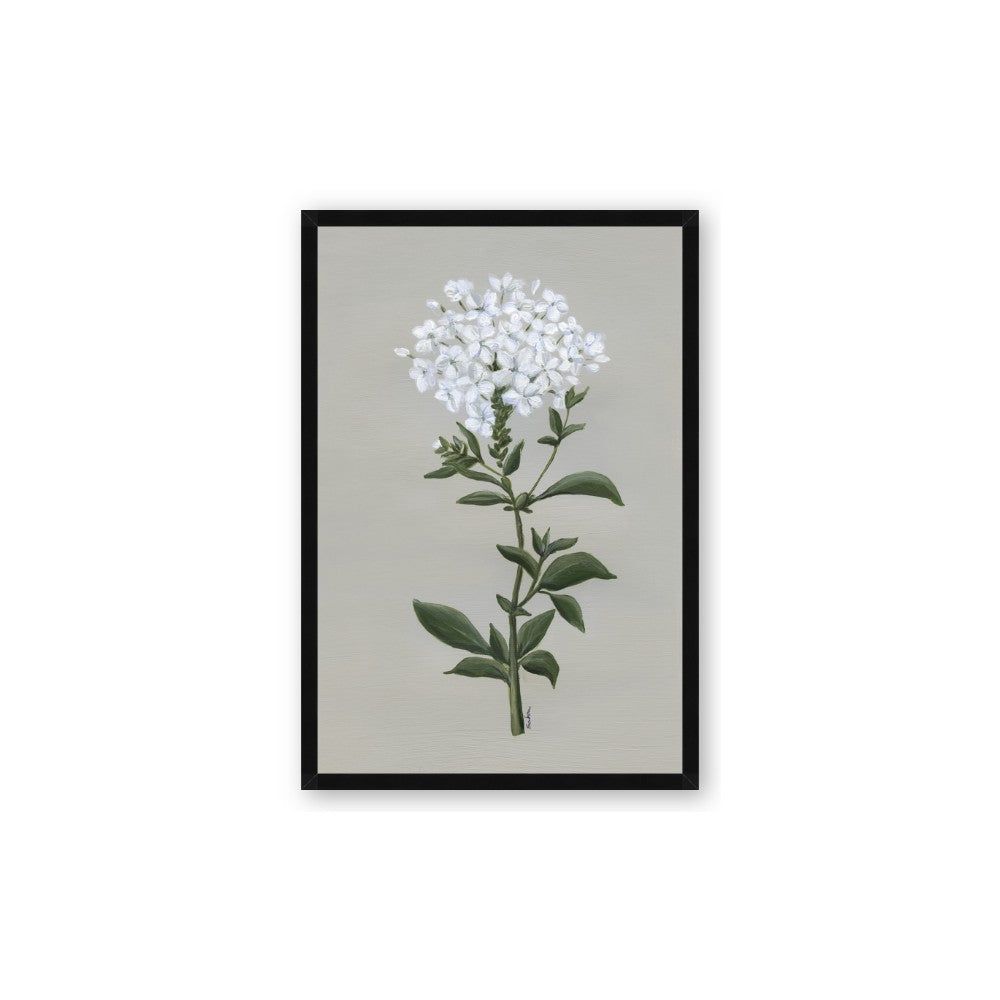 White flower I