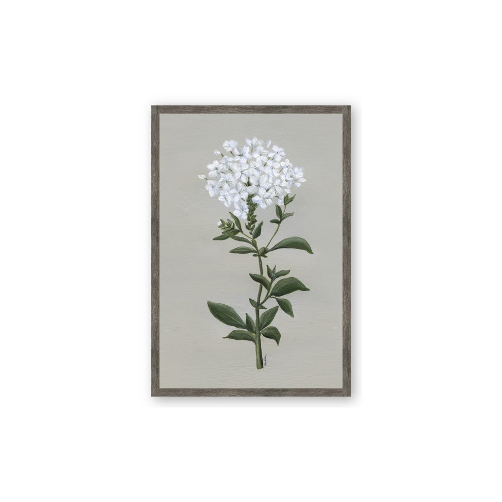 White flower I