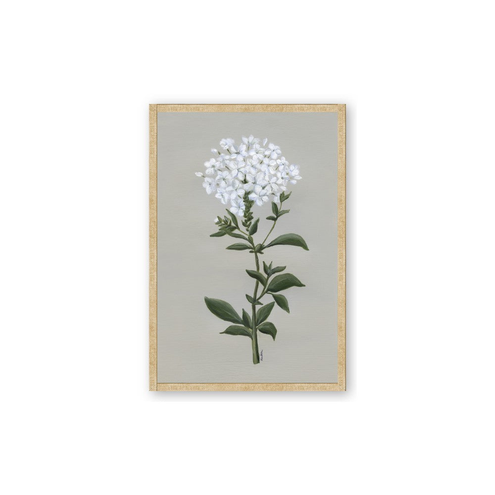 White flower I