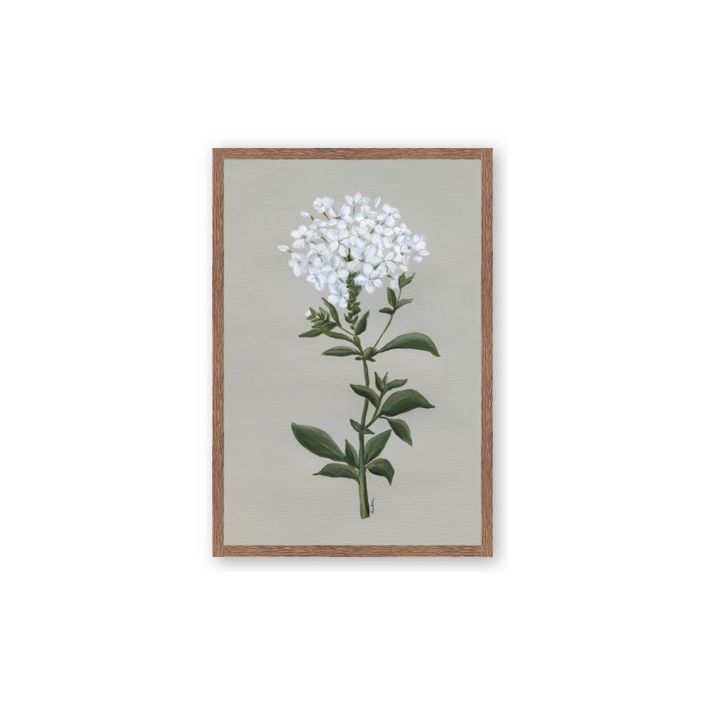 White flower I