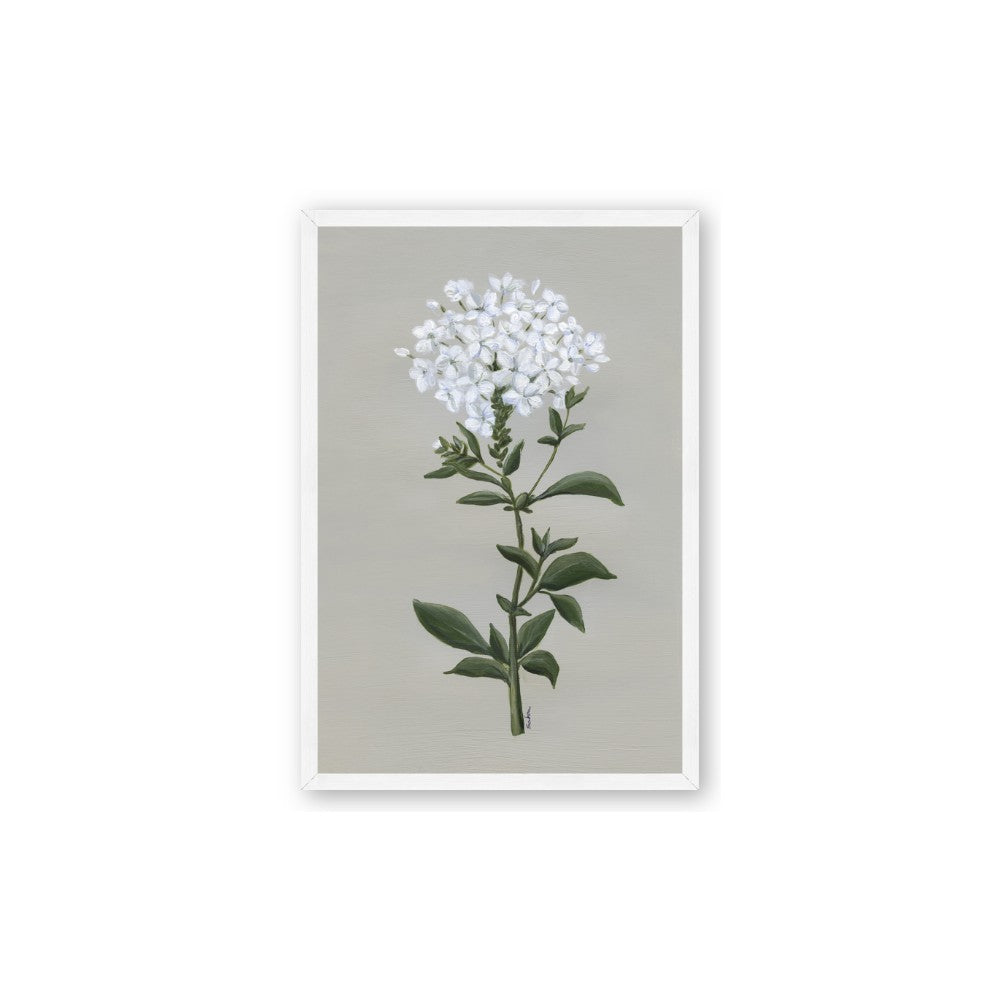White flower I