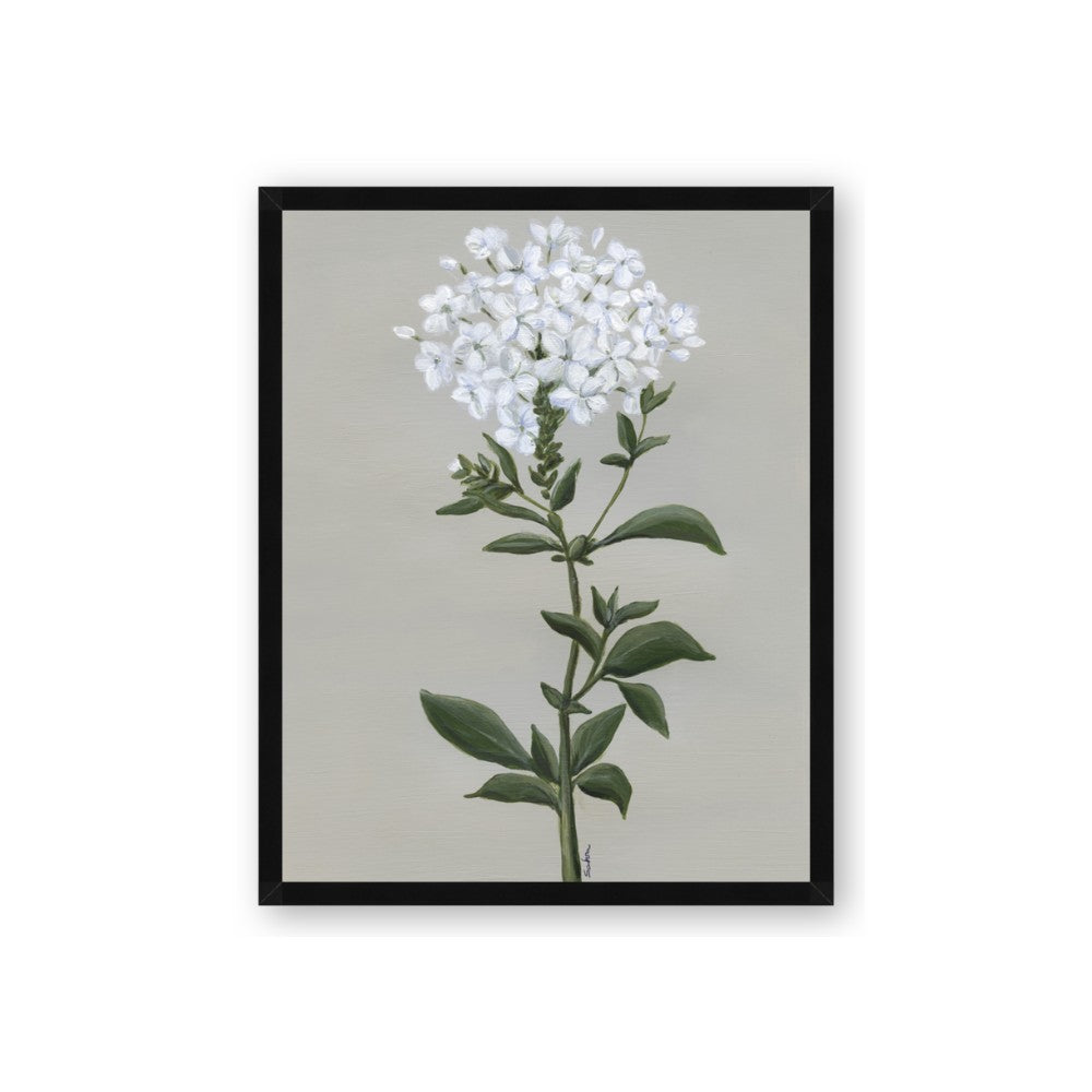 White flower I