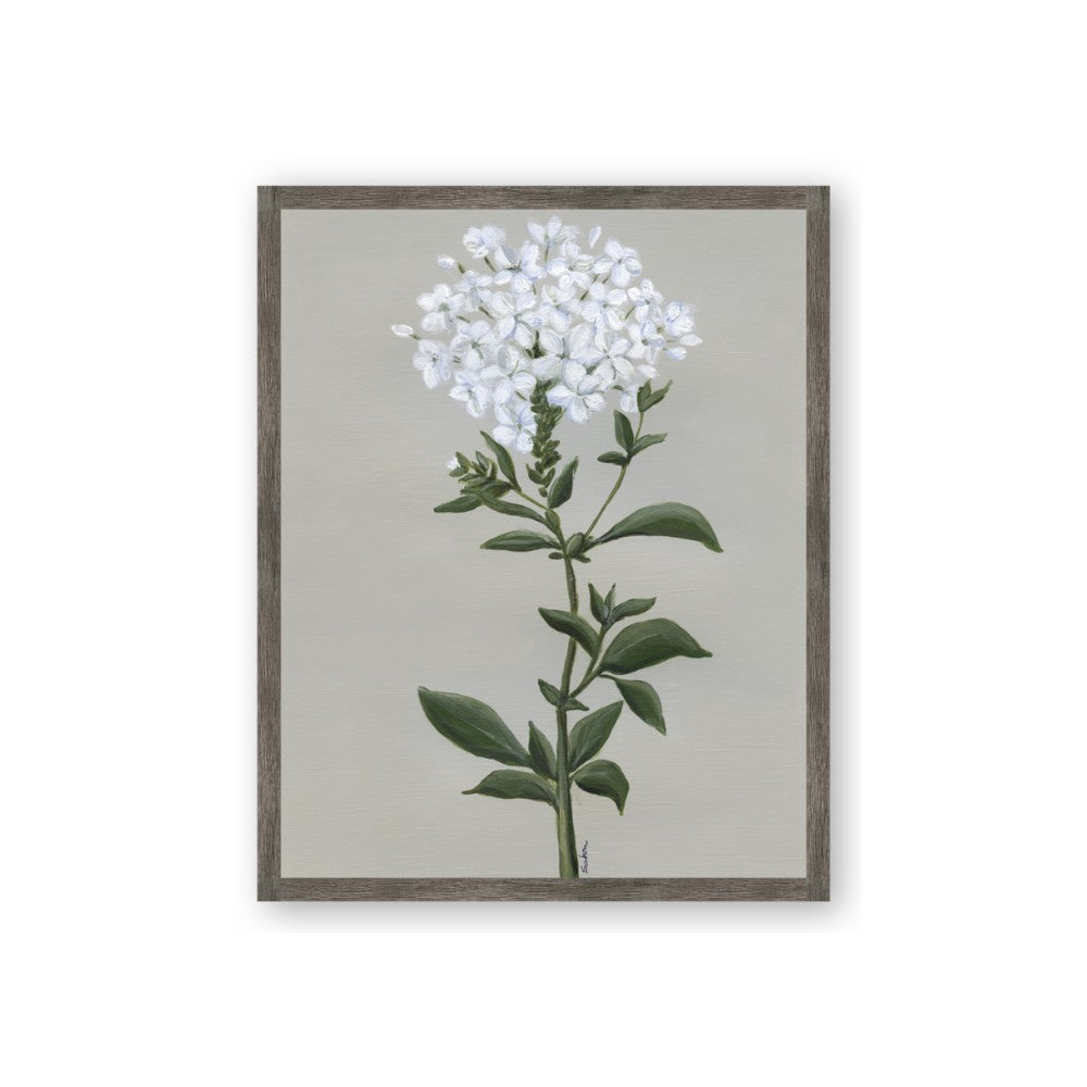 White flower I