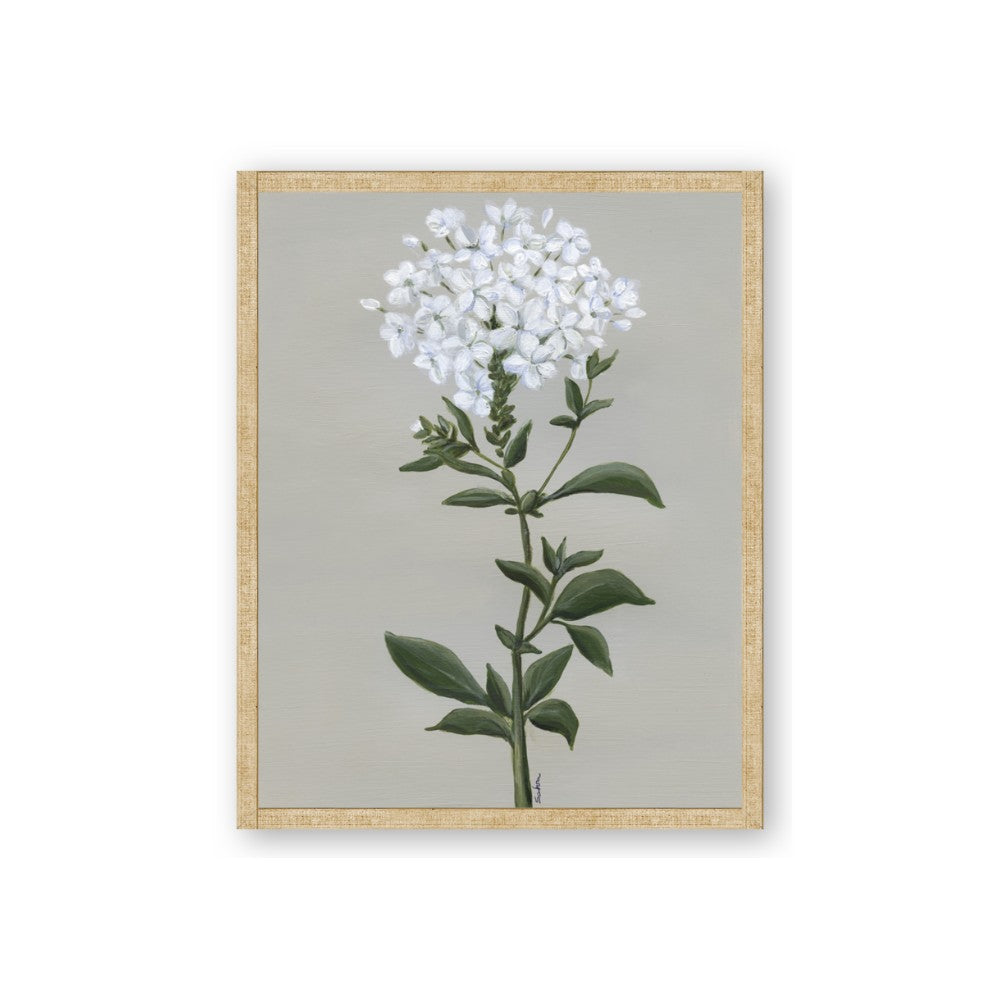White flower I