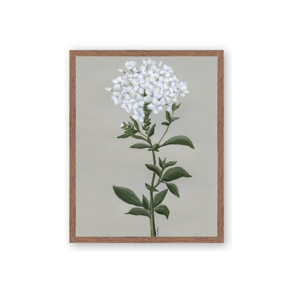 White flower I