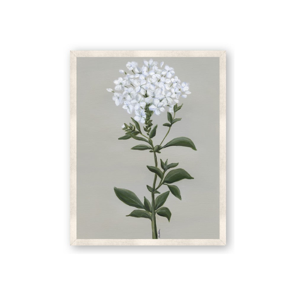 White flower I