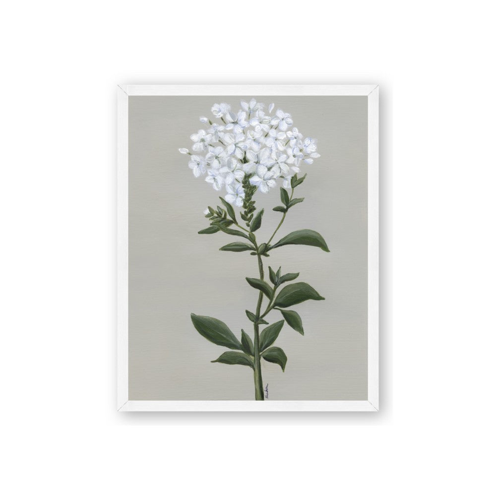 White flower I